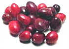 Free Berry Clipart