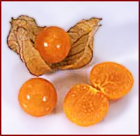 Free Berry Clipart