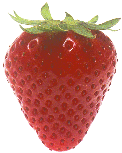 Free Berry Clipart