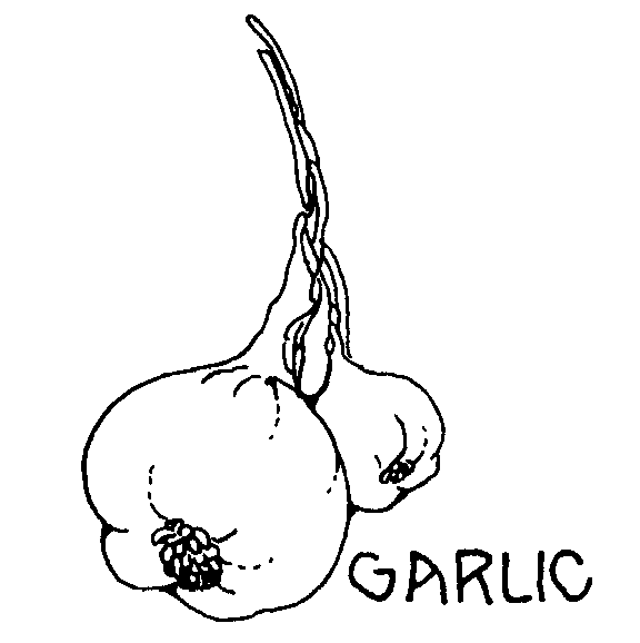 Free Vegetable Clipart